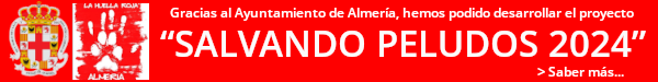 Gracias al Ayuntamiento de Almería, hemos podido desarrollar el proyecto SALVANDO PELUDOS 2024