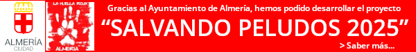 Gracias al Ayuntamiento de Almería, hemos podido desarrollar el proyecto SALVANDO PELUDOS 2025