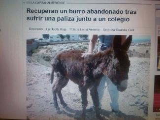Capitán en prensa