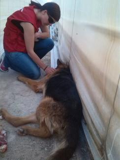 Estado en el que encontramos a Aire