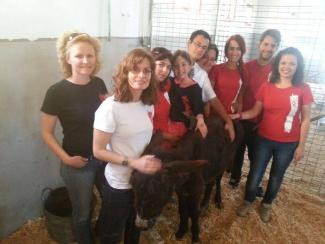 La huella roja y Capitán