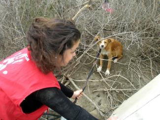 Las victimas invisibles del incendio de Almería. Abril de 2016.